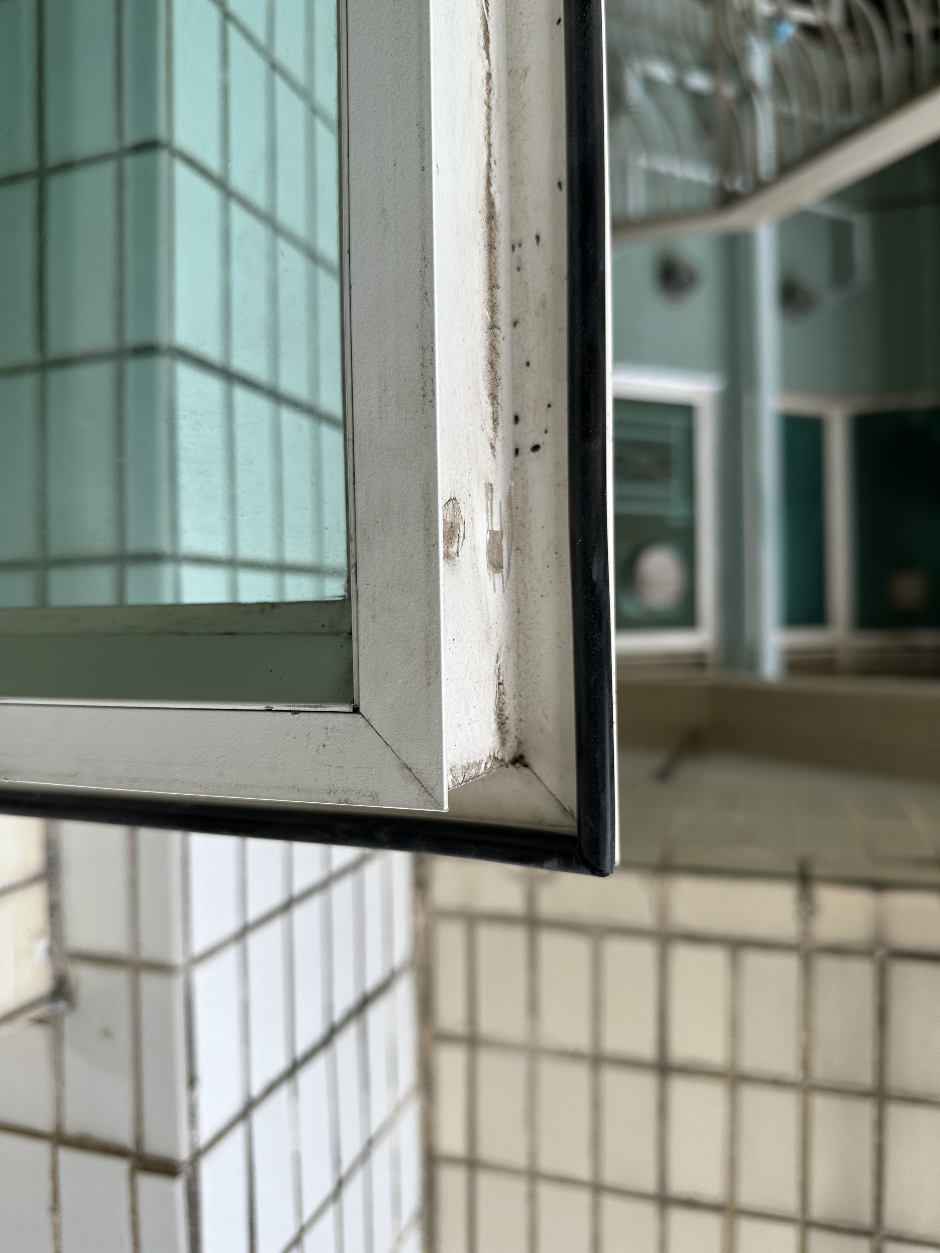 將軍澳 日出康城 領都